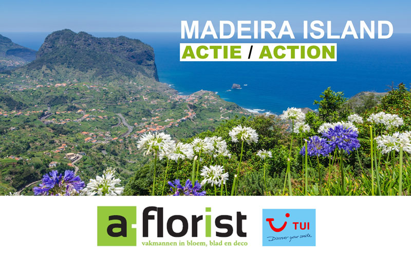 Actie Madeira a-florist